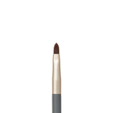 Lip Brush